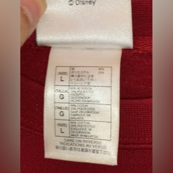 DISNEY CRUISE LINE TRANSATLANTIC UNISEX EMBROIDERED SWEATSHIRT - Picture 7 of 12